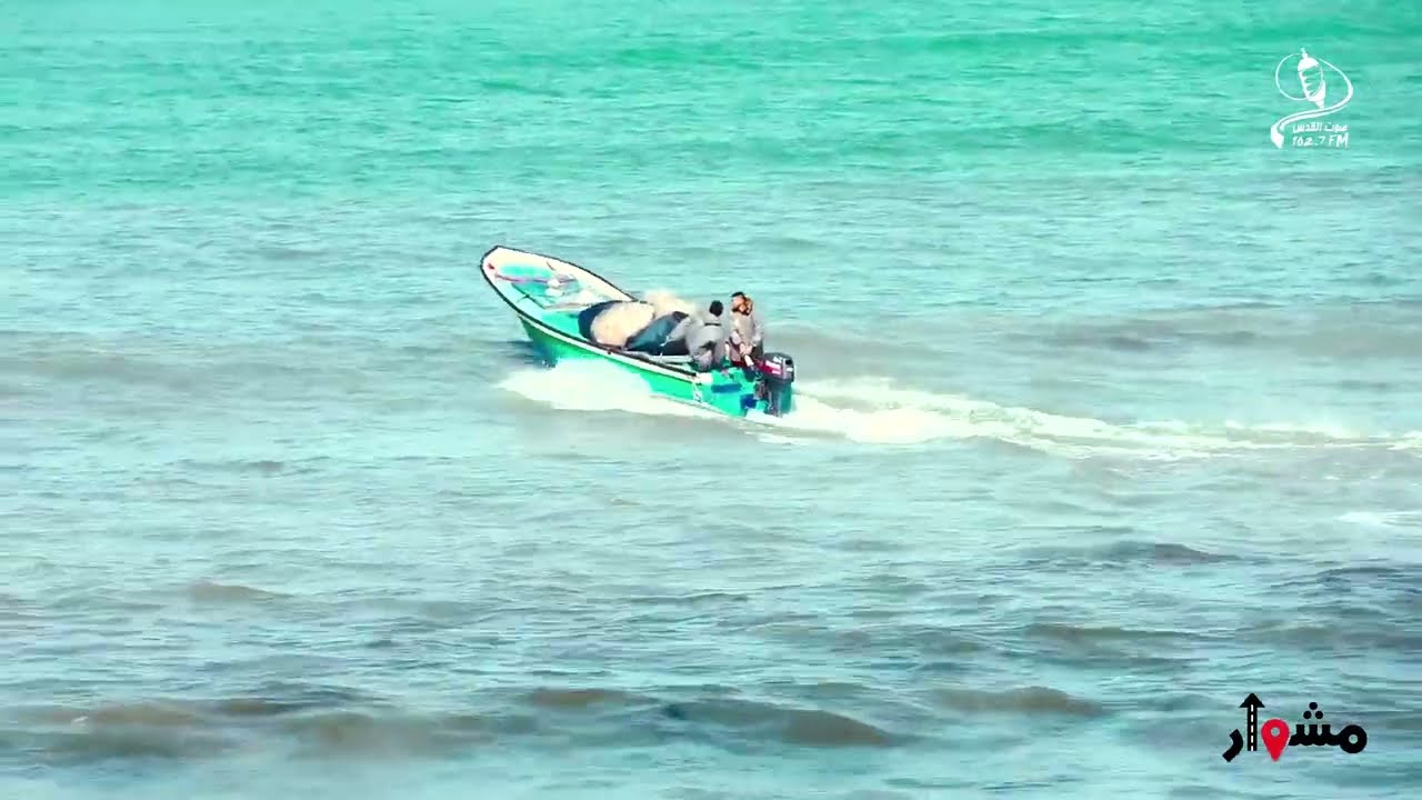 برنامج مشوار / جولة في ميناء غزة نتعرف على أنواع  ومراحل صيد الأسماك