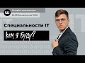 Кто работает в IT? | ЕГЭ Информатика | Вебиум