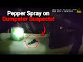 Atlanta Police Use Pepper Spray on Dumpster Suspects!