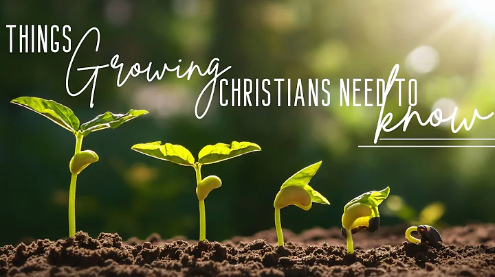 How To Know God's Will Part 2 // Things Growing Christians Need To Know
