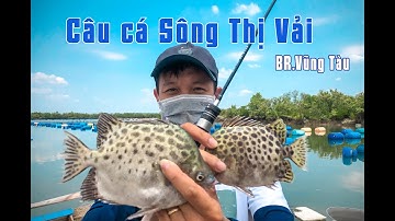 Câu Cá Nâu Bè Nước Lợ ( Sông Thị Vải - Bà Rịa Vũng Tàu). Câu Cá Nâu mà Nóc phá quá