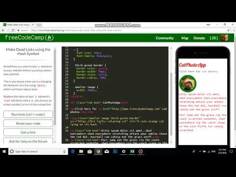 Make Dead Links using the Hash Symbol   Free Code Camp