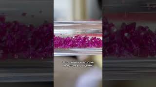 Студентка синтезирует и растит кристаллы #химия #наука #образование