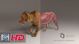 Cgi Vfx Tech Demos Zeke The Lion - By Ziva Vfx Thecgbros