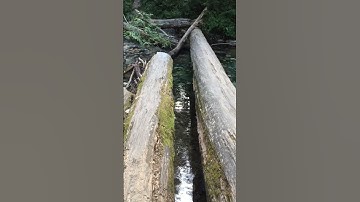 Log Jam