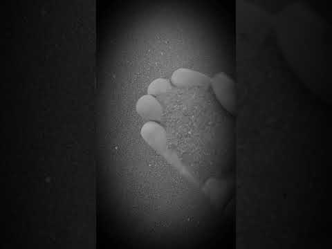 Macdanta Banankatala 