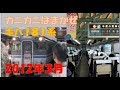 キハ181系「カニカニはまかぜ」　2012年3月 の動画、YouTube動画。
