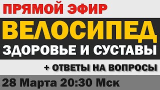видео: Прямой эфир: Велосипед - Здоровье и суставы (28 марта 2024, 20:30 Мск) картинка: Прямой эфир: Велосипед - Здоровье и суставы (28 марта 2024, 20:30 Мск)