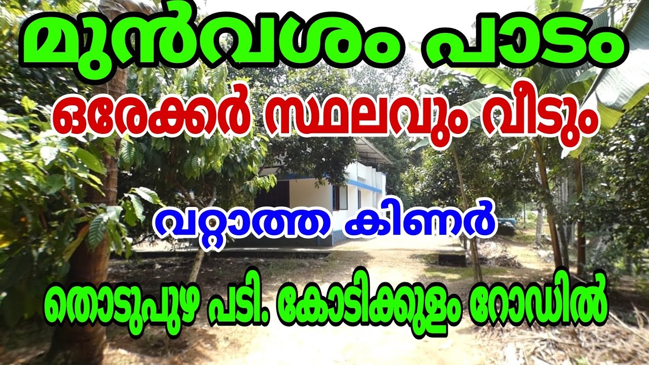 1 acre of land and a house for sale. Thodupuzha, W. Kodikkulam. Paddy field frontage.
