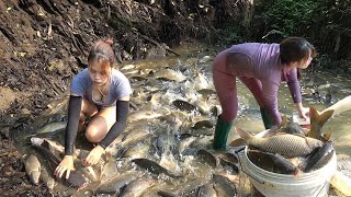 Most Effective Fishing Techniques: Harvesting Many Big Fish in the Mud Pond, Pulling up Giant Carp