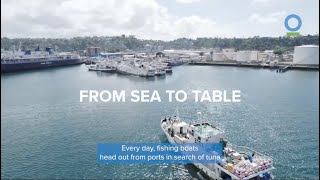 Unveiling the Fiji Domestic Tuna Industry: Economy, Community, and Sustainability by Conservation International 780 views 9 months ago 6 minutes, 2 seconds