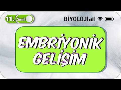 11. Sınıf Biyoloji Embriyonik Gelişim  |TEK VİDEODA KONU ANLATIMI ✍️