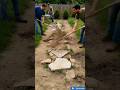 Before ➡️ after transformation #beforeafter #gardenrenovation #shorts #viralideas