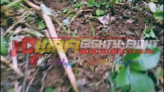 DJ RELIGI DAMAI LAH PALESTINA || SLOW BASS.
