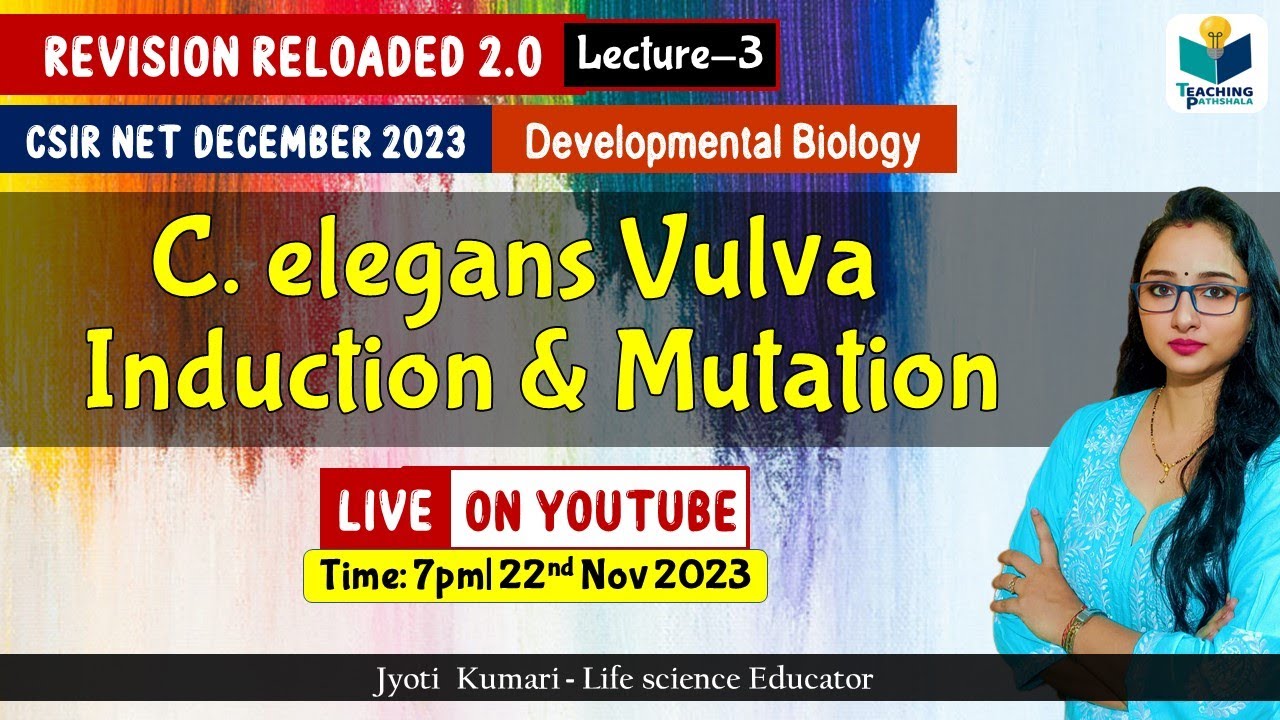 Revision Reloaded 2.0 | C. elegans Vulva  Development & Mutation| CSIR Dec 2023 | Lecture 4