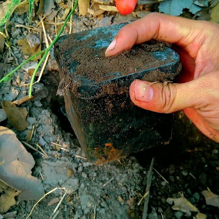 find real treasure box - my metal detector found hidden treasure
