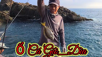 VUONG LT VLOG | Hòn cồng cộc _ Nhơn lý _ Giật cá Giò _ Dìa  cùng Anh,Em