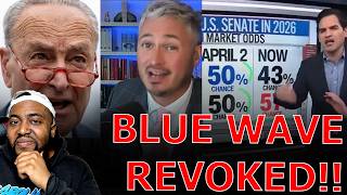 CNN Analyst Delivers NIGHTMARE REALITY CHECK To Democrats As Marxist Civil War TANKS Blue Wave!