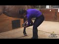 Magic Cushion How It Works, How to Apply It, How Magic Cushion Hoof Packing Helps Your Horse