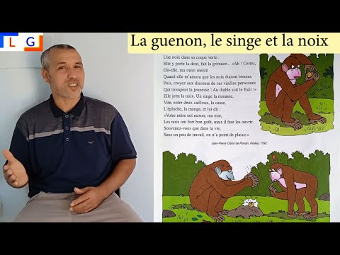 la-guenon-le-singe-et-la-noix-lecture-youtube