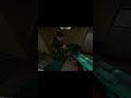 nutty shot 161