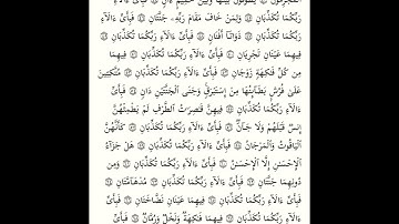 سورة الرحمن ص ٥٣٣ آية ٤٢ - آية ٥٥