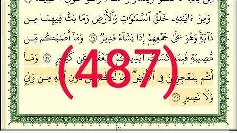 سورة   الشوري رقم الصفحة 487 مجود بصوت القارئ الشيخ أيمن سويد حفظه الله
