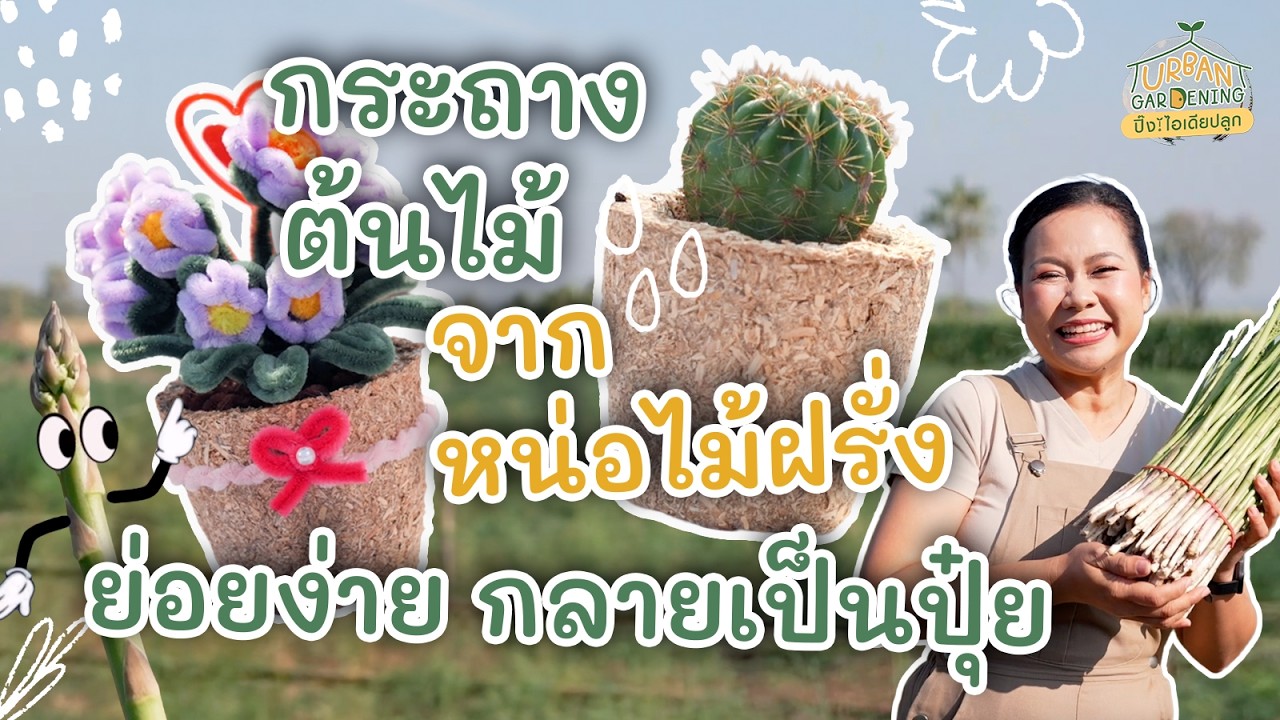 วิธีทำกระถางต้นไม้จากหน่อไม้ฝรั่ง ย่อยง่าย กลายเป็นปุ๋ย | Urban Gardening ปิ๊ง! ไอเดียปลูก
