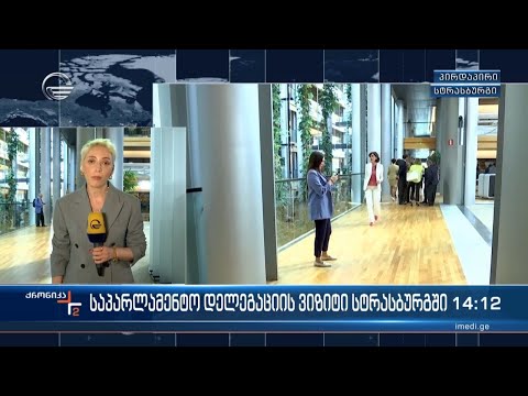 საპარლამენტო დელეგაციის ვიზიტი სტრასბურგში