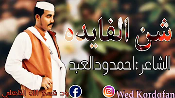 الشاعر احمد ود العبد شند الفايده 