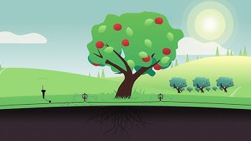 Phytech Onboarding #3   Irrigation Data