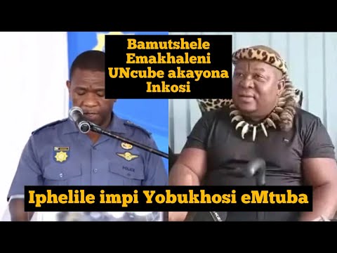 Ngeke Ukholwe Kuphuma Isixazululo Ngemp Yobukhosi Bakwa Mkhwanazi Nabakwa Ncube EMtuba Buka Le Video