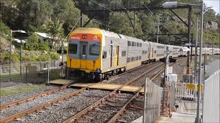 Peak Hour at Wondabyne