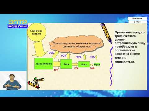 9-класс | Биология | Биогеоценоз и его основные компоненты. Круговорот веществ