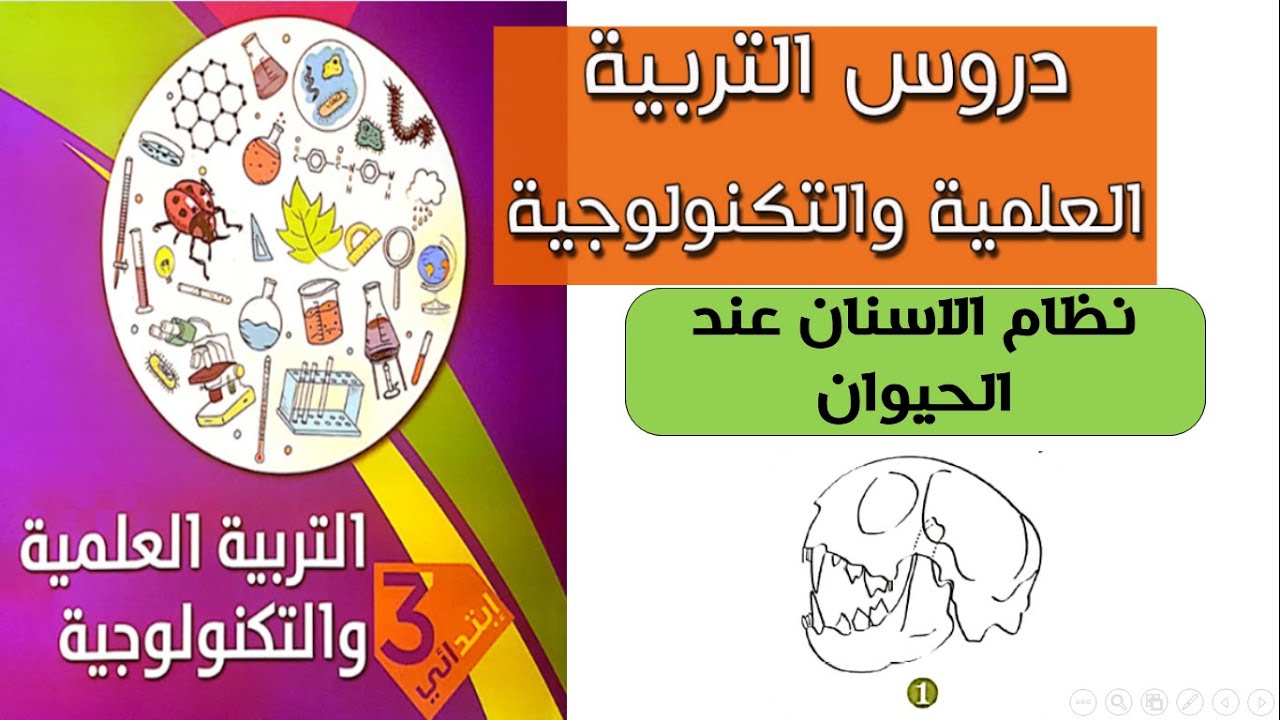 نظام الأسنان عند الحيوان للسنة الثالثة ابتدائي