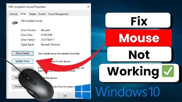 How to Fix Mouse Not Working in Windows 10 | 2025 Easy Guide