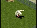 All the animal attack animations in Zoo Tycoon (2001)