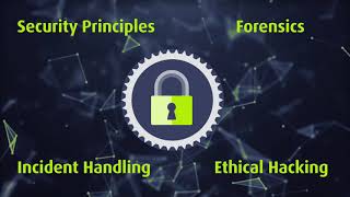 Certified Cybersecurity Analyst