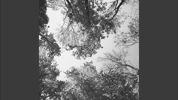 Sublime Backdrops for Tranquility