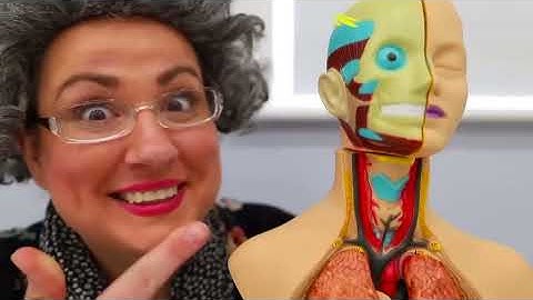 Ruby and Bonnie pause challenge with granny