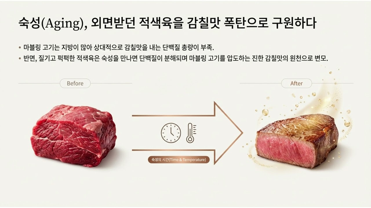 숙성고기의 가치를 높이는 기술 1장 1 2 마블링의 제국에서 숙성된 풍미의 시대로