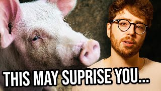 What You MUST Know About Pigs 🐷
