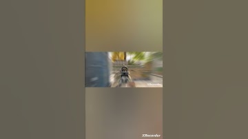 Aims Shots #arenabreakout #bloodstrike #deltaforce #codmobile #freefire #pugmobile #mobilegaming