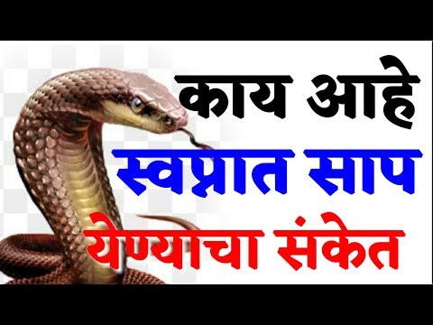 काय आहे स्वप्नात साप येण्याचा अर्थ | marathi vastu shastra tips...