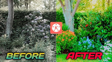 Professional Color Grading in KineMaster - Video Editing Bangla Tutorial