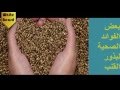 الفوائد الصحيه لبذور القنب