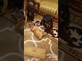 شغل قرود 