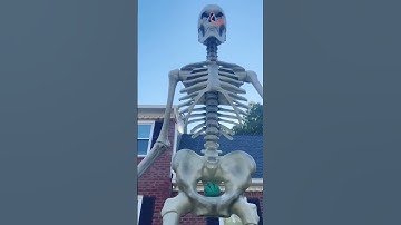 Thumbnail of Best Fidgets For My 12ft Skeleton!