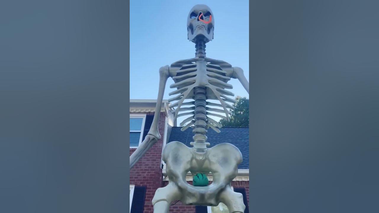 Best Fidgets For My 12ft Skeleton!