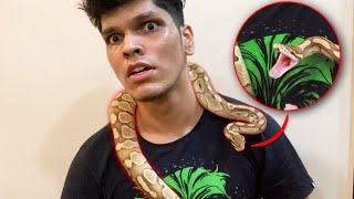 i found a SNAKE in my house!!!